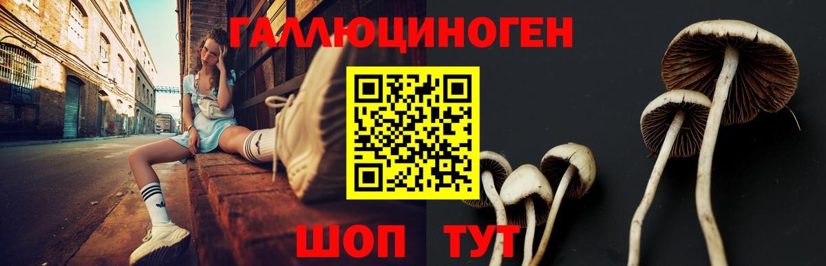 Галлюциногенные грибы Magic Shrooms  Псилоцибиновые грибы ЛСД  Бийск  Вход с VPN 